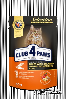 Club 4 Paws Premium Selection Повнораціонний консервований корм для дорослих кот. . фото 1