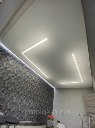 Натяжной потолок со световыми линиями в гостиную в Днепре
Натяжной потолок со св. . фото 3