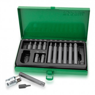 Набір біти для викрутки TORX TOPTUL 10мм 15ед. GAAD1506. Київ. фото 1 Набір біти для викрутки TORX TOPTUL 10мм 15ед. GAAD1506. Київ. фото 1
