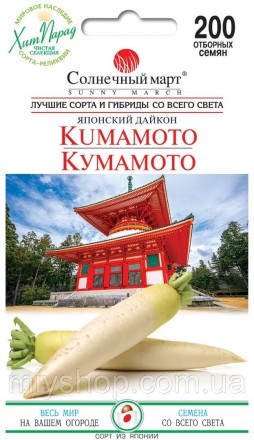 Дайкон Кумамото 200 шт Солнечный март. Лубны. фото 1 Дайкон Кумамото 200 шт Солнечный март. Лубны. фото 1