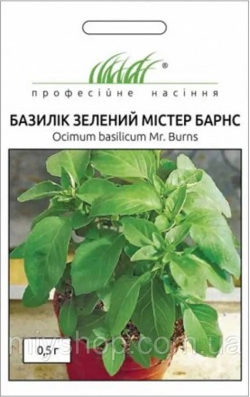 Базилік зелений Містер Барнс 0,5гр Професійне насіння Нидерланды. Лубны. фото 1 Базилік зелений Містер Барнс 0,5гр Професійне насіння Нидерланды. Лубны. фото 1
