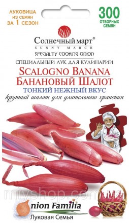 Лук репчатый Банановый шалот 300 шт Солнечный март. Лубны. фото 1 Лук репчатый Банановый шалот 300 шт Солнечный март. Лубны. фото 1