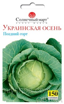 Сорт создан в Украинском НМН овощеводства и бахчеводства. Период от всходов до т. . фото 1