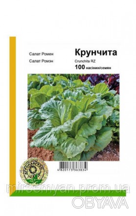 Первый хрустящий салат Ромэн на рынке Украины для выращивания в открытой почве. . . фото 1