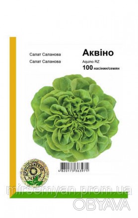 Аквино - это салат Саланова, тип мультилиф, предназначен для выращивания в откры. . фото 1
