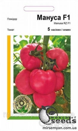Розово плодный томат Мануса [Manusa] RZ F1. Оригинатор гибрида компания Rijk Zwa. . фото 1