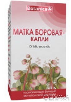 Настоянка Червона Щітка показання до застосування: ендометріоз, міома, фіброма, . . фото 1