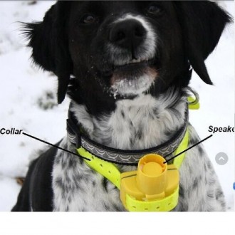 Необходимый аксессуар для собаки любого охотника Бипер для охотничьих собак JPD1. . фото 6