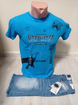 Летний подростковый костюм для мальчика подростка Орел голубой футболка и шорты . . фото 2