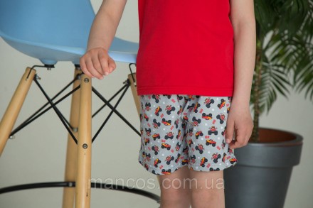Костюм детский для мальчика футболка и шорты Power, красный SmileTime
Летняя три. . фото 4