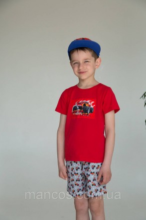Костюм детский для мальчика футболка и шорты Power, красный SmileTime
Летняя три. . фото 3