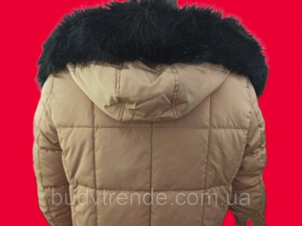 Женское зимнее пальто на змейке, размер EU 38 это 44 размер) бренд Amisu (New Yo. . фото 9