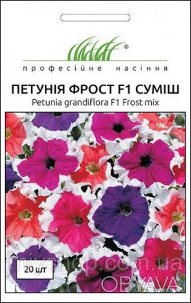 Непревзойденный вид петунии для открытого грунта, характеризующийся ранним цвете. . фото 1