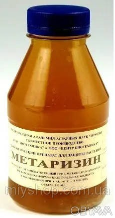 Метаризин - биопрепарат, рекомендуемый для защиты растений от почвообитающих вре. . фото 1