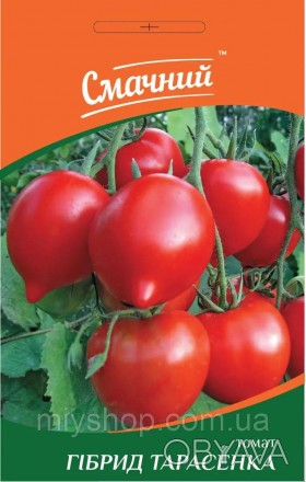 Среднеспелый индетерминантный сорт томата. Вегетационный период 115-120 дней. Пл. . фото 1