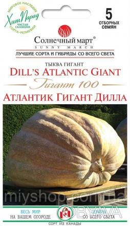 Атлантический Гигант – это группа сортов самой крупной тыквы в мире, созданных H. . фото 1
