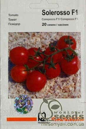 Солероссо F1
Ультраранний (90—95 дней) гибрид томата. 
Сочетает уникальную ранне. . фото 1