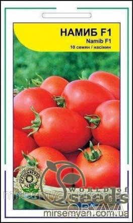 Ранний сливообразный томат для реализации и потребления в свежем виде и перерабо. . фото 1