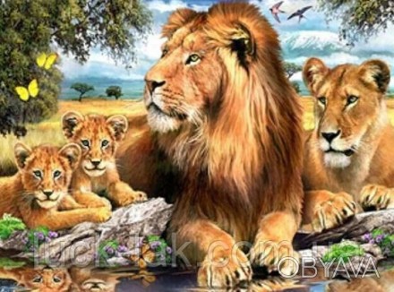 Алмазная вышивка, размер 40х30 см,
семья львов на отдыхе
Полная выкладка, стразы. . фото 1
