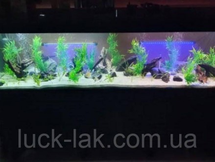 
Куст длинный, водоросли для аквариума, искусственная растительность
Высота 35 с. . фото 8
