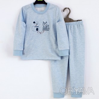 Тепла піжама дитяча з штанами та кофтою на довгий рукав голубого кольору з вишив. . фото 1