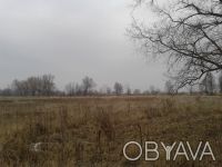 Срочно продам земельный участок под застройку (Киевская область, Броварской р-н). . фото 2