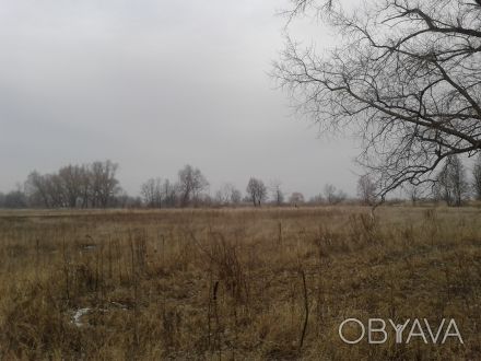 Срочно продам земельный участок под застройку (Киевская область, Броварской р-н). . фото 1