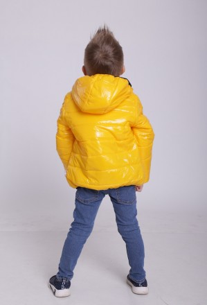 Детская деми куртка с молнией на кармане для мальчика и девочки Marakas 
Темпера. . фото 7