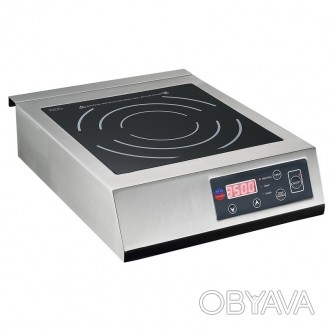 Индукционная плита — кухонная электрическая плита, разогревающая металличе. . фото 1
