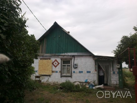Сдам дом в с. Могилев Днепропетровской области, 45 м2, в доме газ, отопление газ. . фото 1