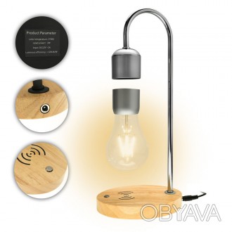 Описание: Уникальный светильник в стиле LOFT с парящей в воздухе лампочкой стане. . фото 1
