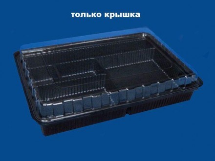 Технические характеристики:
Вид одноразовой посуды - одноразовые пластиковые кон. . фото 5