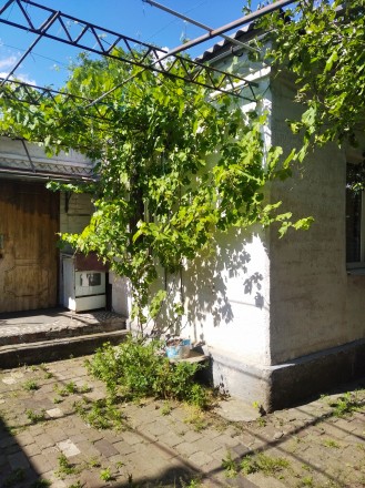 Продам дом в Диевке до переезда, шлаколитой, высокие потолка, цоколь, крыша шифе. . фото 5