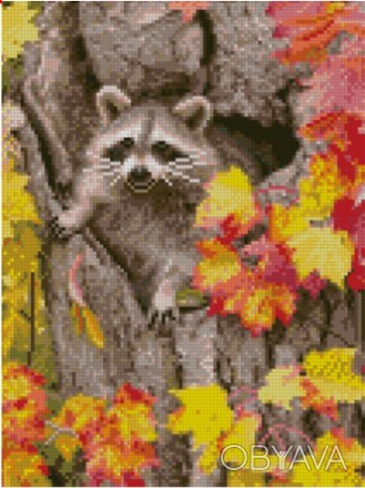 Алмазна картина HX182 "Єнотик восени", розміром 30х40 см. . фото 1