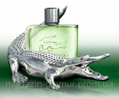 Этот парфюм заполнил прилавки магазинов в 2005 году. Lacoste Essential представл. . фото 3