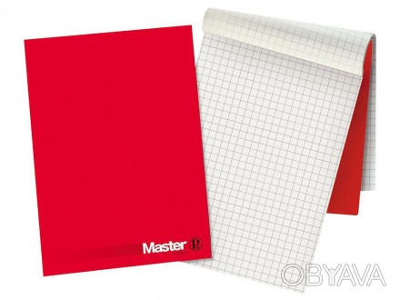 Блокнот Master проклеенный: 1см - квадраты, без полей. Формат А4: 210x297. Упако. . фото 1
