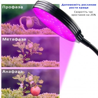 Фитолампа светодиодная с USB контроллером позволит выращивать различные растения. . фото 10