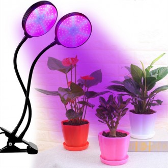 Фитолампа светодиодная с USB контроллером позволит выращивать различные растения. . фото 3