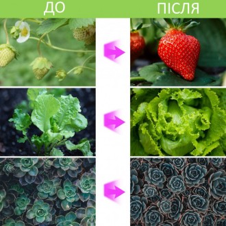 Фитолампа светодиодная с USB контроллером позволит выращивать различные растения. . фото 11