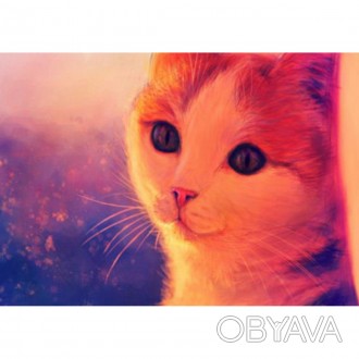  Товар на сайте >>>Раскраска по номерам 40*50см "Котенок" карт.уп (холст на раме. . фото 1