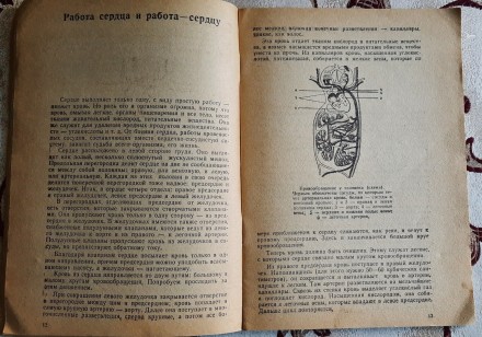Сердце и спорт, Тамбиан Н.Б., Серия: Биология и медицина, Москва: Знание, 1962
. . фото 4