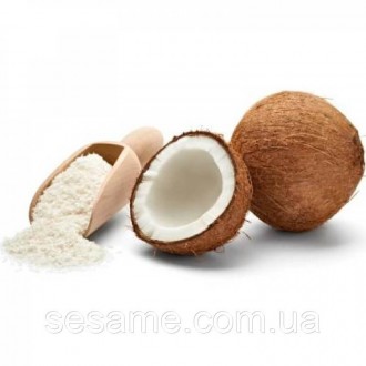 Виробництво борошна
З кокоса добувають безліч різних продуктів. Серед них кокосо. . фото 3