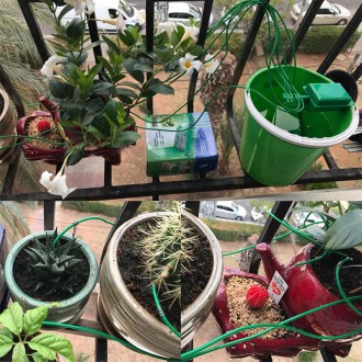 Автоматический полив комнатных растений, таймер, автономный насос для 10 растени. . фото 6