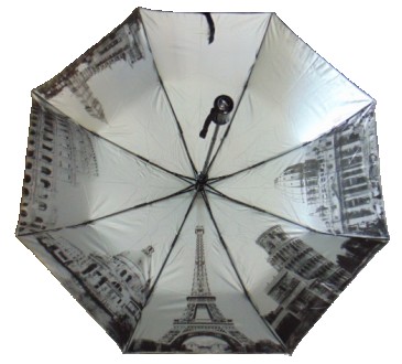 Женский зонт полуавтомат с прямой пластиковой ручкой на 8 карбоновых спиц
Каркас. . фото 3