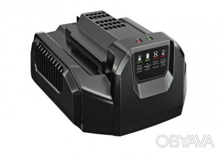 Зарядное устройство EGO CH2100E применяется для зарядки аккумуляторных батарей с. . фото 1