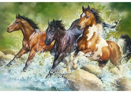 Пазли Три диких коня від польського виробника Trefl Яскраві і барвисті пазли Три. . фото 3