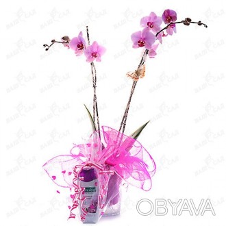 'Возможены различные цвета и сорта орхидеи.Вариант упаковки по Вашему вкусу и же. . фото 1