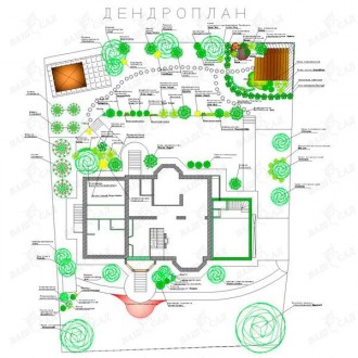 Дендрологический проект - 100 м2 (сотка). Одеса. фото 1 Дендрологический проект - 100 м2 (сотка). Одеса. фото 1