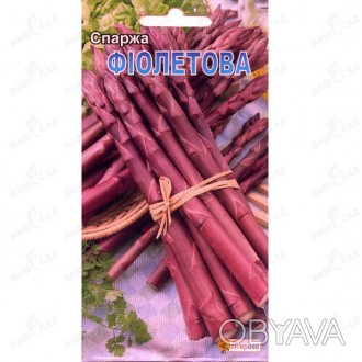 'Этот высокоурожайный сорт спаржи имеет более длинные и толстые побеги фиолетово. . фото 1