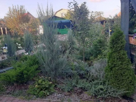Продам світлий затишний будинок в Світлому.. Суворовский. фото 9 Продам світлий затишний будинок в Світлому загальною площею 86 кв.м., 2 поверхи,. Суворовский. фото 9